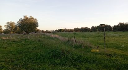 Terrain à Vale de Santarém de 43 200 m²