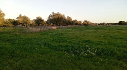 Terrain à Vale de Santarém de 43 200 m²