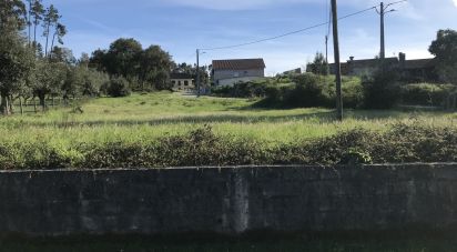 Terrain à Ansião de 1 490 m²