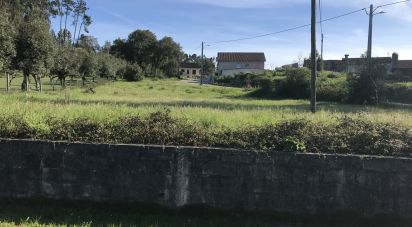 Terrain à Ansião de 1 490 m²