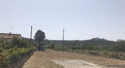 Terrain à bâtir à Seiça de 4 000 m²