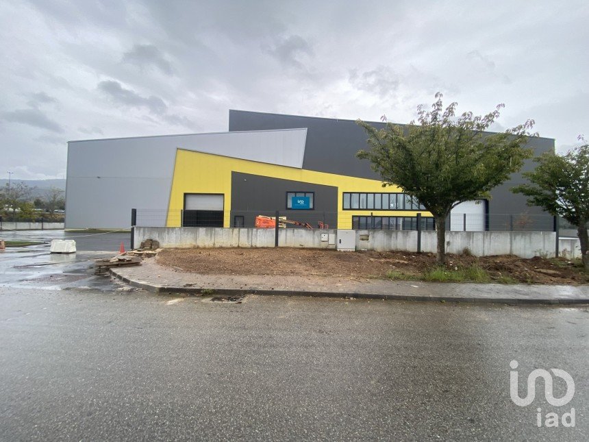 Commercial walls in Gandra e Taião of 4,309 m²