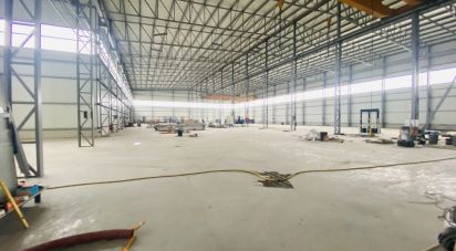 Espaço Comercial em Gandra e Taião de 4 309 m²