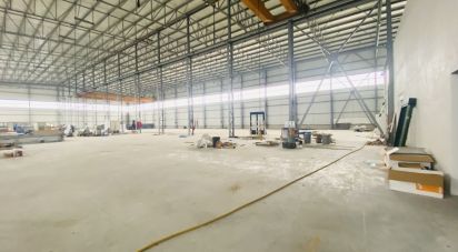 Murs commerciaux à Gandra e Taião de 4 309 m²