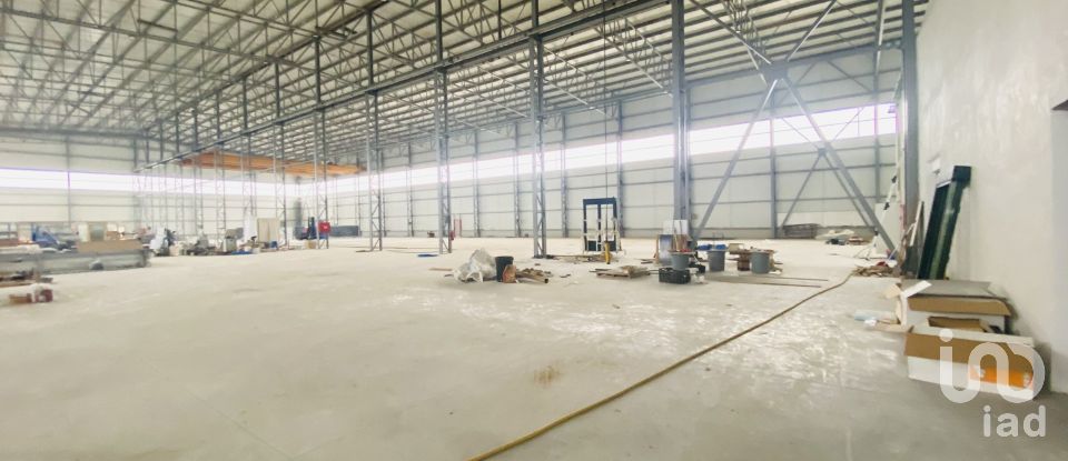 Commercial walls in Gandra e Taião of 4,309 m²