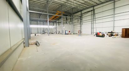 Murs commerciaux à Gandra e Taião de 4 309 m²