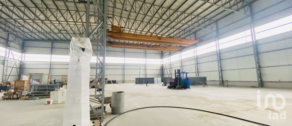 Commercial walls in Gandra e Taião of 4,309 m²