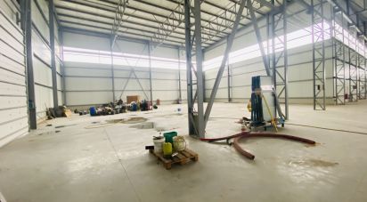 Murs commerciaux à Gandra e Taião de 4 309 m²