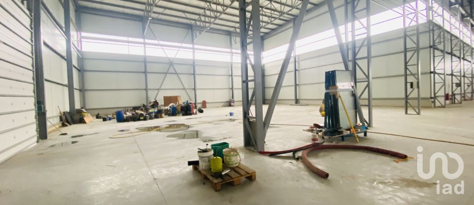 Commercial walls in Gandra e Taião of 4,309 m²