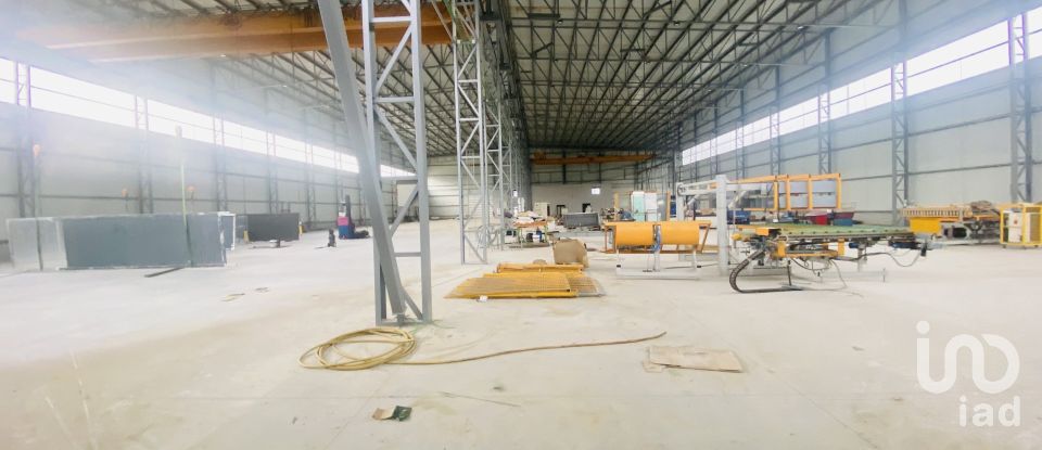 Commercial walls in Gandra e Taião of 4,309 m²