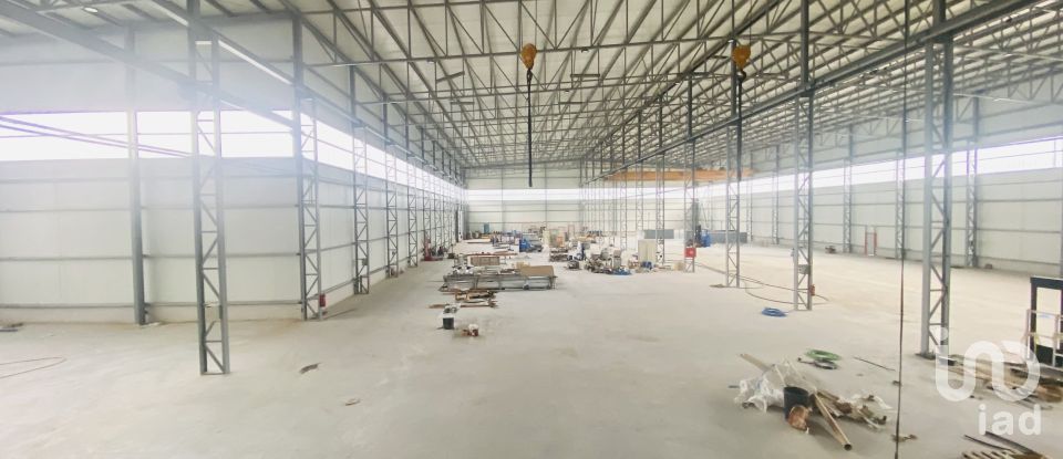 Commercial walls in Gandra e Taião of 4,309 m²