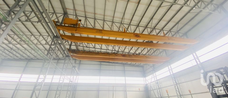 Commercial walls in Gandra e Taião of 4,309 m²