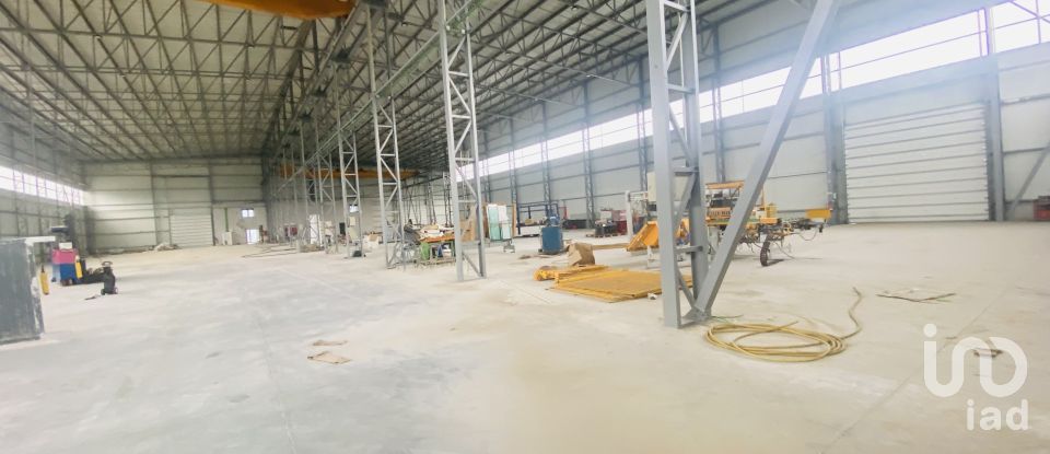 Commercial walls in Gandra e Taião of 4,309 m²