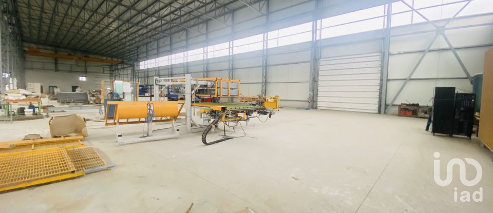 Commercial walls in Gandra e Taião of 4,309 m²