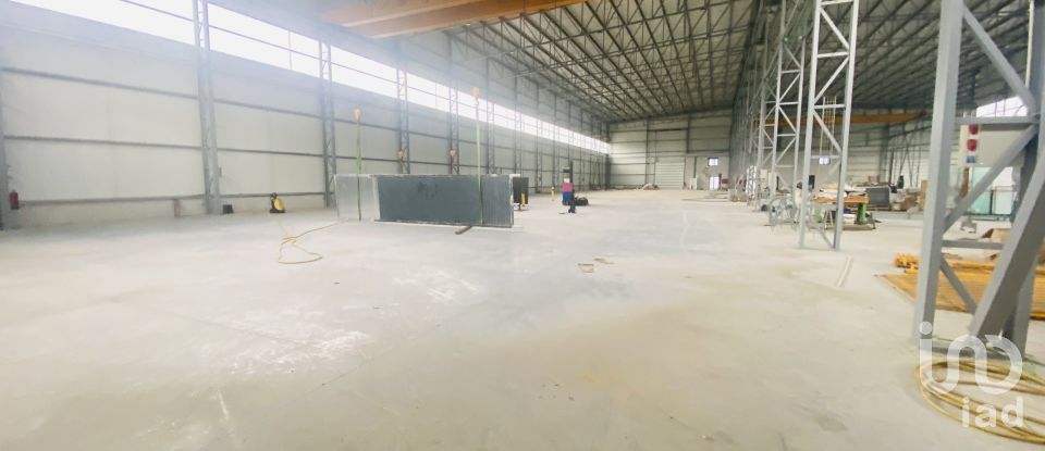 Commercial walls in Gandra e Taião of 4,309 m²