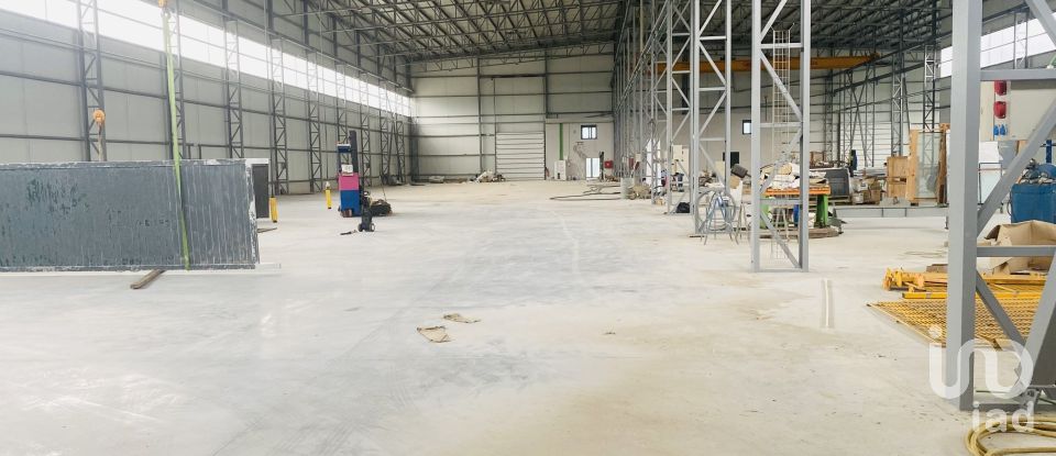 Commercial walls in Gandra e Taião of 4,309 m²