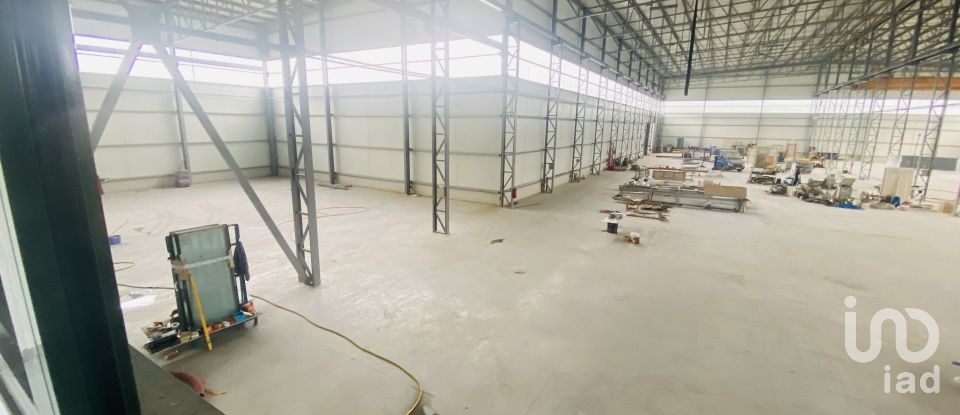 Commercial walls in Gandra e Taião of 4,309 m²