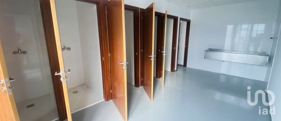 Commercial walls in Gandra e Taião of 4,309 m²