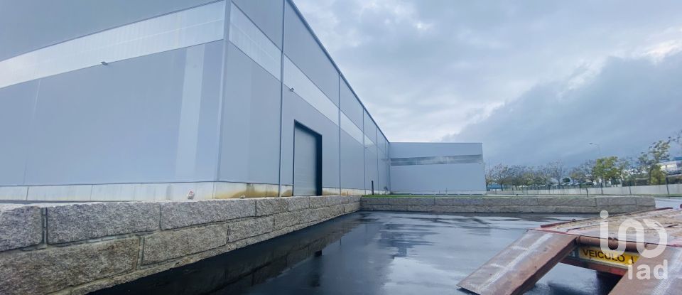 Commercial walls in Gandra e Taião of 4,309 m²