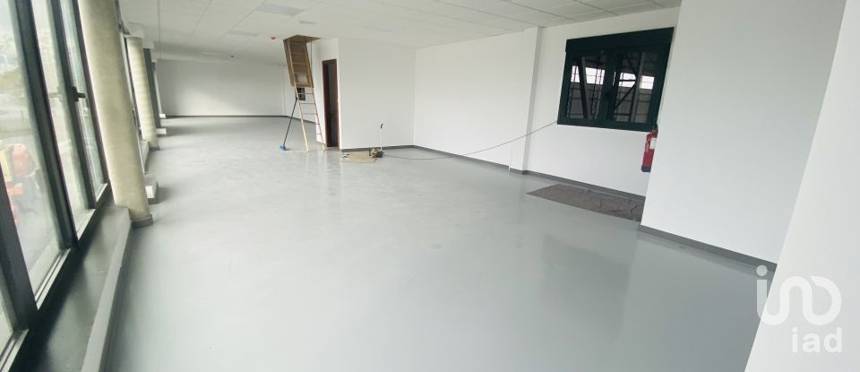 Commercial walls in Gandra e Taião of 4,309 m²