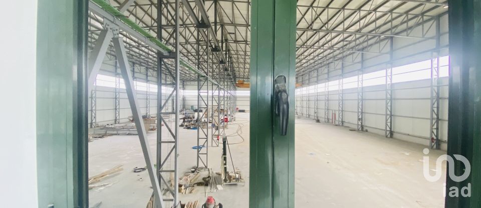 Commercial walls in Gandra e Taião of 4,309 m²