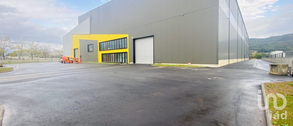 Commercial walls in Gandra e Taião of 4,309 m²