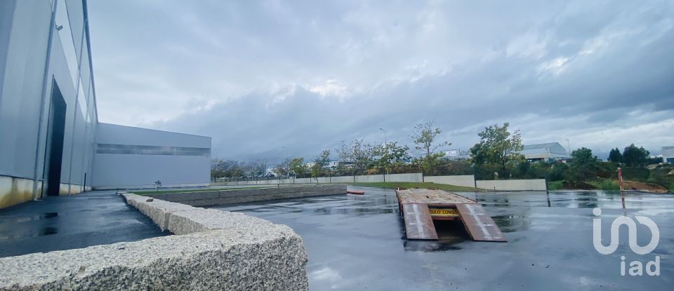 Commercial walls in Gandra e Taião of 4,309 m²