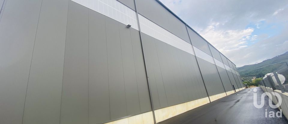 Commercial walls in Gandra e Taião of 4,309 m²