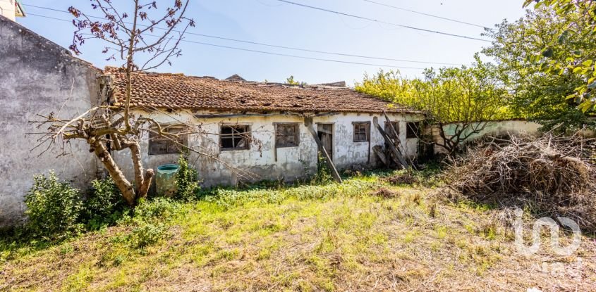 Casa de Cidade T6 em Rio Maior de 240 m²