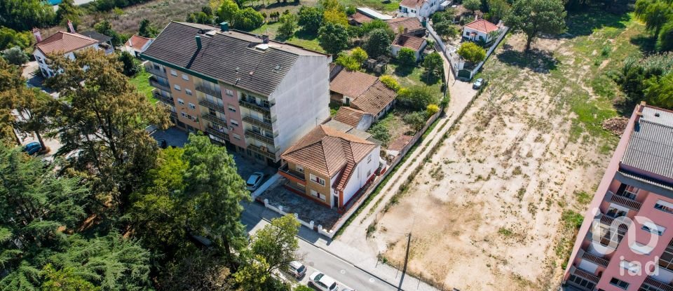 Casa de Cidade T6 em Rio Maior de 240 m²