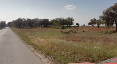 Terreno em Poceirão e Marateca de 32 250 m²