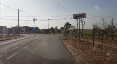 Terreno em Poceirão e Marateca de 32 250 m²