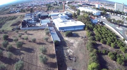 Terrain à Moura (Santo Agostinho e São João Baptista) e Santo Amador de 72 125 m²