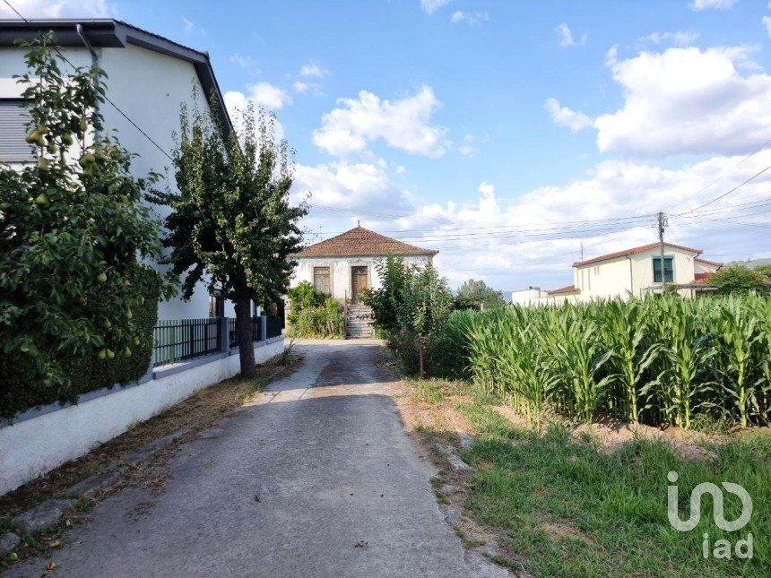 Quinta T5 em Madalena e Samaiões de 23 834 m²