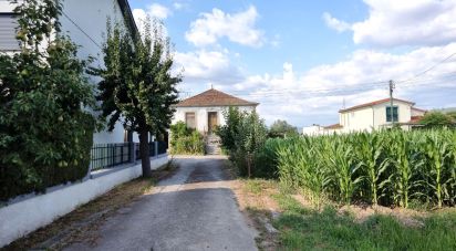 Ferme T5 à Madalena e Samaiões de 23 834 m²