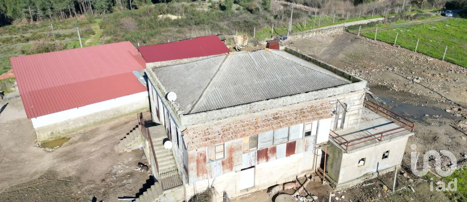 Ferme T5 à Madalena e Samaiões de 240 m²