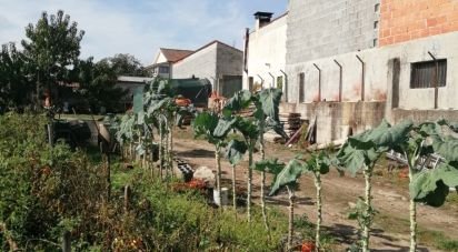 Terrain à Vale de Anta de 900 m²