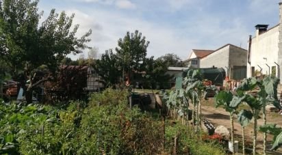 Terrain à Vale de Anta de 900 m²