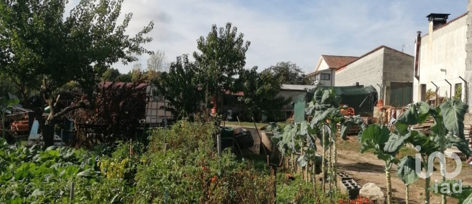 Terrain à Vale de Anta de 900 m²