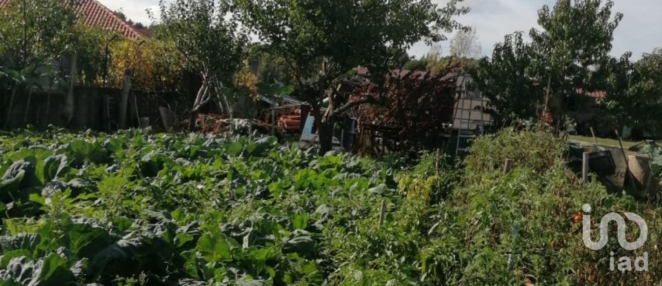 Terrain à Vale de Anta de 900 m²