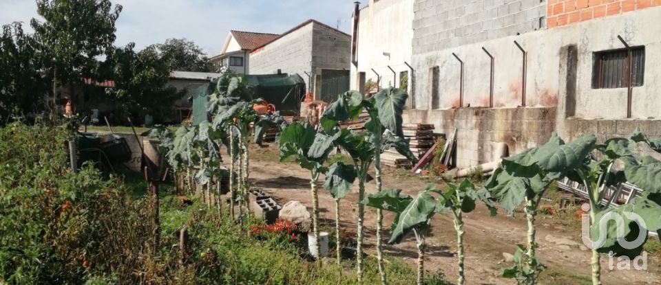 Terrain à Vale de Anta de 900 m²