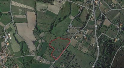 Terreno em Madalena e Samaiões de 19 500 m²