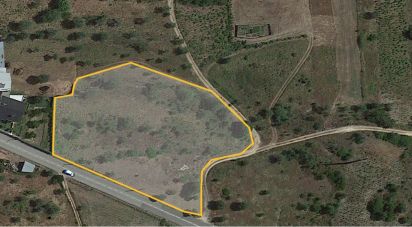 Bâtiment à Pombal de 3 210 m²