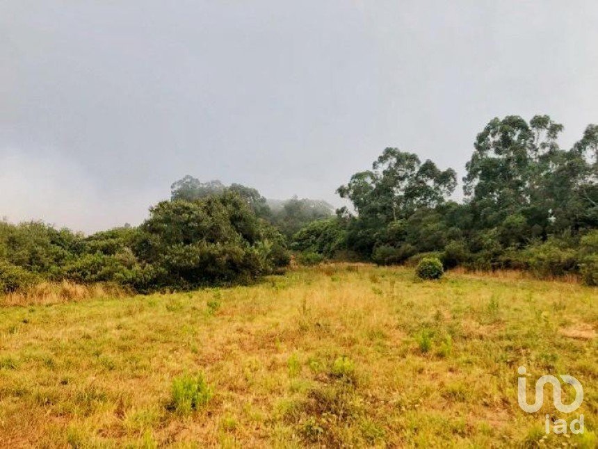 Terreno em Colares de 11 640 m²