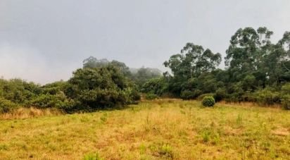Land in Colares of 11,640 m²