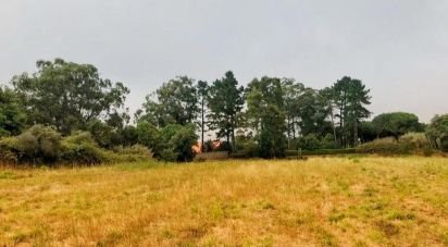 Terrain à Colares de 11 640 m²