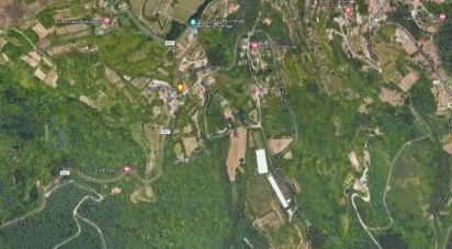 Terrain à Colares de 11 640 m²