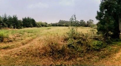 Land in Colares of 11,640 m²