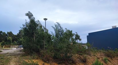 Terrain à São Miguel do Souto e Mosteirô de 298 m²