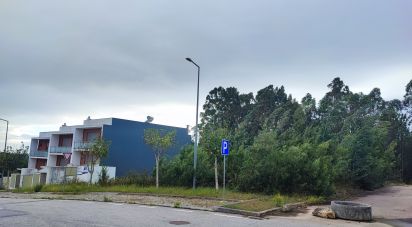 Terrain à São Miguel do Souto e Mosteirô de 298 m²